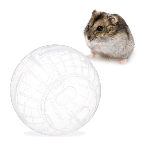 Hamsterball transparent - 4, x