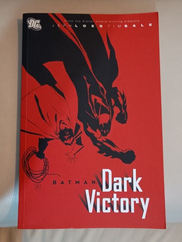 Batman dark victory - batman,