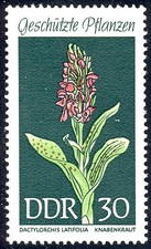 1461 Heimische Pflanzen