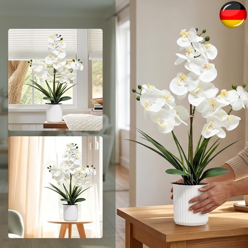 Künstliche orchidee topf - im,