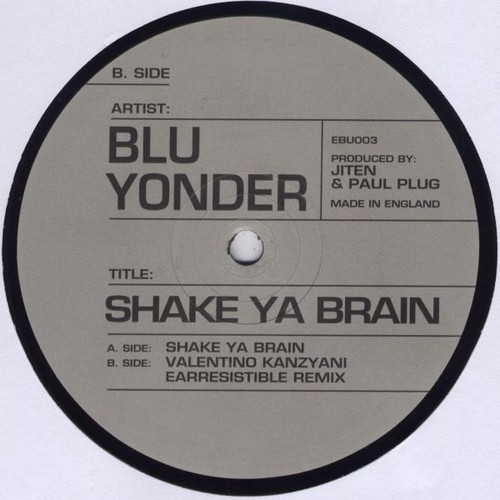Blu yonder shake ya brain - blu,