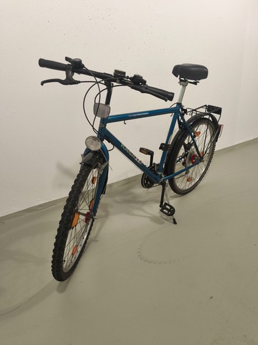Fahrrad isdas ideale - ideale,
