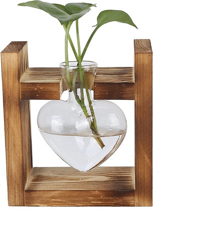 Pflanzen terrarium mit - terrarium,