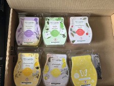scentsy bar set 6 Stk