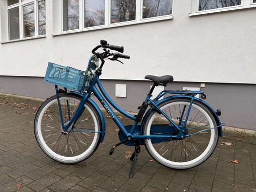 Hollandrad gazelle puur - hollandrad,
