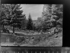 30049209 - 3389 Braunlage Am