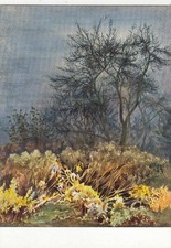 SIEGWARD SPROTTE; Novembergeschehen ngl G3862