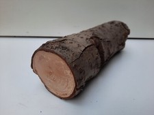 Drechsel Holz Ø 21 x 6 cm Erle verstockt, trocken, mit Rinde, Basteln    E-III