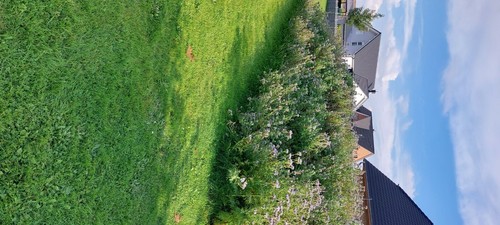 Mutterboden erde mit bienen - mutterboden,