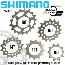 Shimano Deore SLX XT XTR Ebike Micro Spline Kassetten Verschleiß Ersatz Ritzel