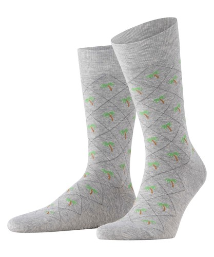 Burlington socken palm tree - burlington,