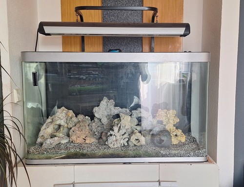Aquarium komplett mit - aquarium,