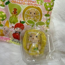 Sylanian Families Fruit Party