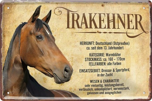 Blechschild 20x30 trakehner - blechschild,