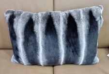 NEU ! Rex Kanin auf Chinchilla