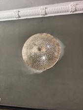 wandleuchte innen Wandlampe groß