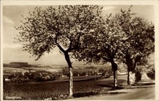 Ak Ebersbrunn Lichtentanne