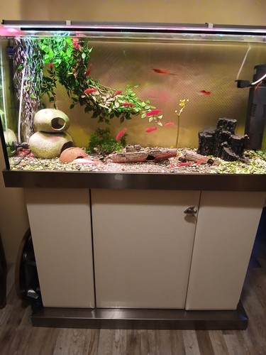Komplettes 200l - ​komplettes,