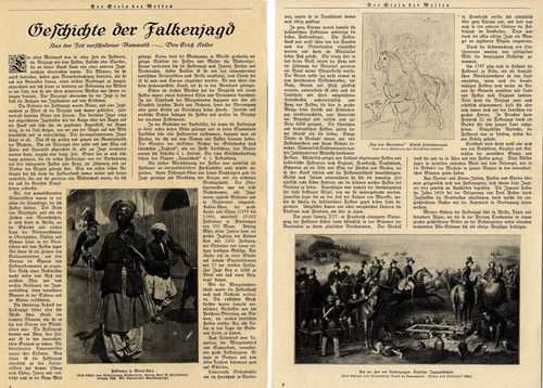 Geschichte der falkenjagd - falkenjagd, *