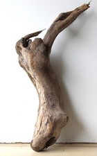 Treibholz Schwemmholz