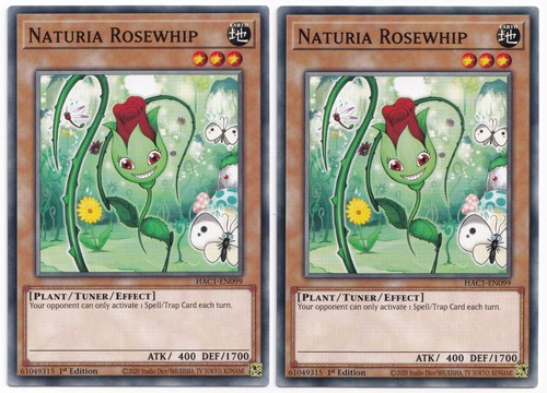 Naturia rosenpeitsche - naturia,