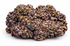 Frisches Lebendgestein Hand