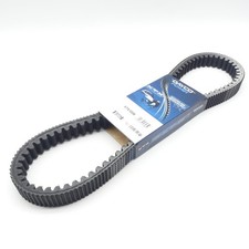 Dayco XTX1008 Keilriemen