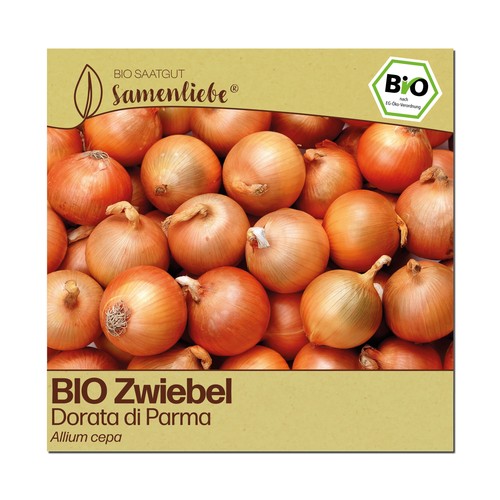 Bio zwiebel samen dorata - bio, di
