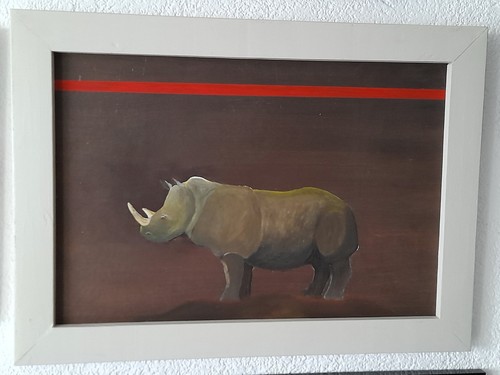 Rhinozeros nashorn preis - rhinozeros,
