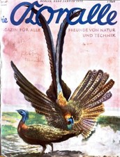 Zeitschriften-Rarität: Die