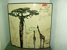 Afrika Bild 2 Giraffen aussergewöhnlich da das Bild vorgewölbt ist 9445 !