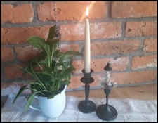 grünmeliert Öllämpchen