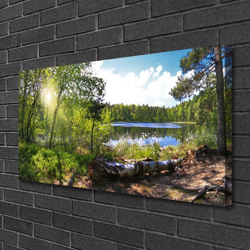 Leinwand bilder 100x50 - leinwand-bilder,