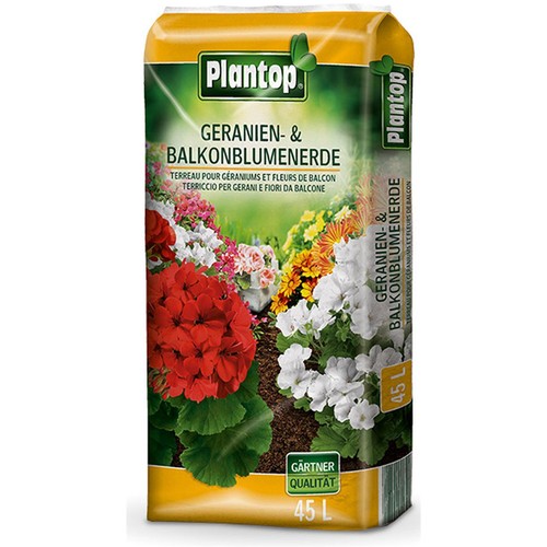 Plantop geranien und - geranien,