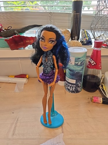 Monster high rebecca steam - high,