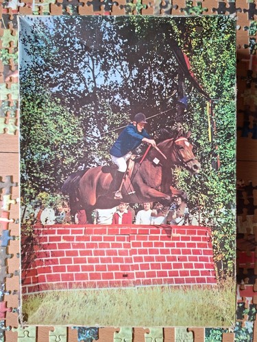 Puzzle springreiter - puzzle, in