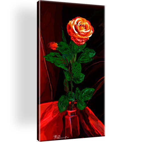 Rose blume bild bilder - bild,