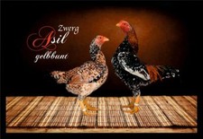 Fußmatte Schmutzfangmatte Hühner Zwerg Asil gelbbunt F1415