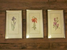 3 alte Bilder im Rahmen Blumen Höhe 30 cm Breite 19 cm 