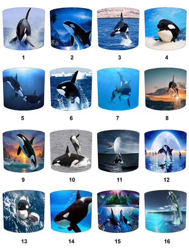 Killer whale orca decke - orca,