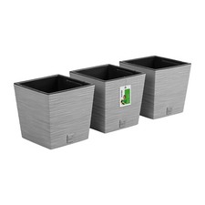 3x Prosperplast Furu