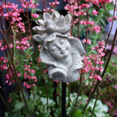 Blumenkind seerose garten - seerose,