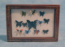 Schmetterlingssammlung