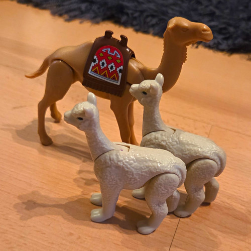Playmobil kamel mit - mit, und
