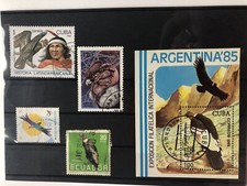 kl. Steckkarte Kondor