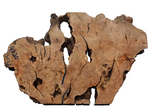 Oliven wurzelholz holz - 1x,