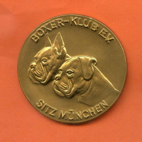 Boxer klub sitz münchen - sitz,