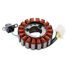 Stator Lichtmaschine für