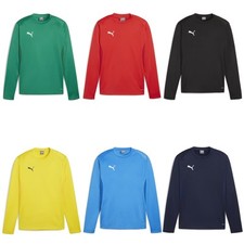 Puma Herren Pullover teamGOAL