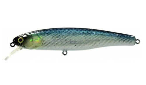Illex arnaud 100 shine - 100, f